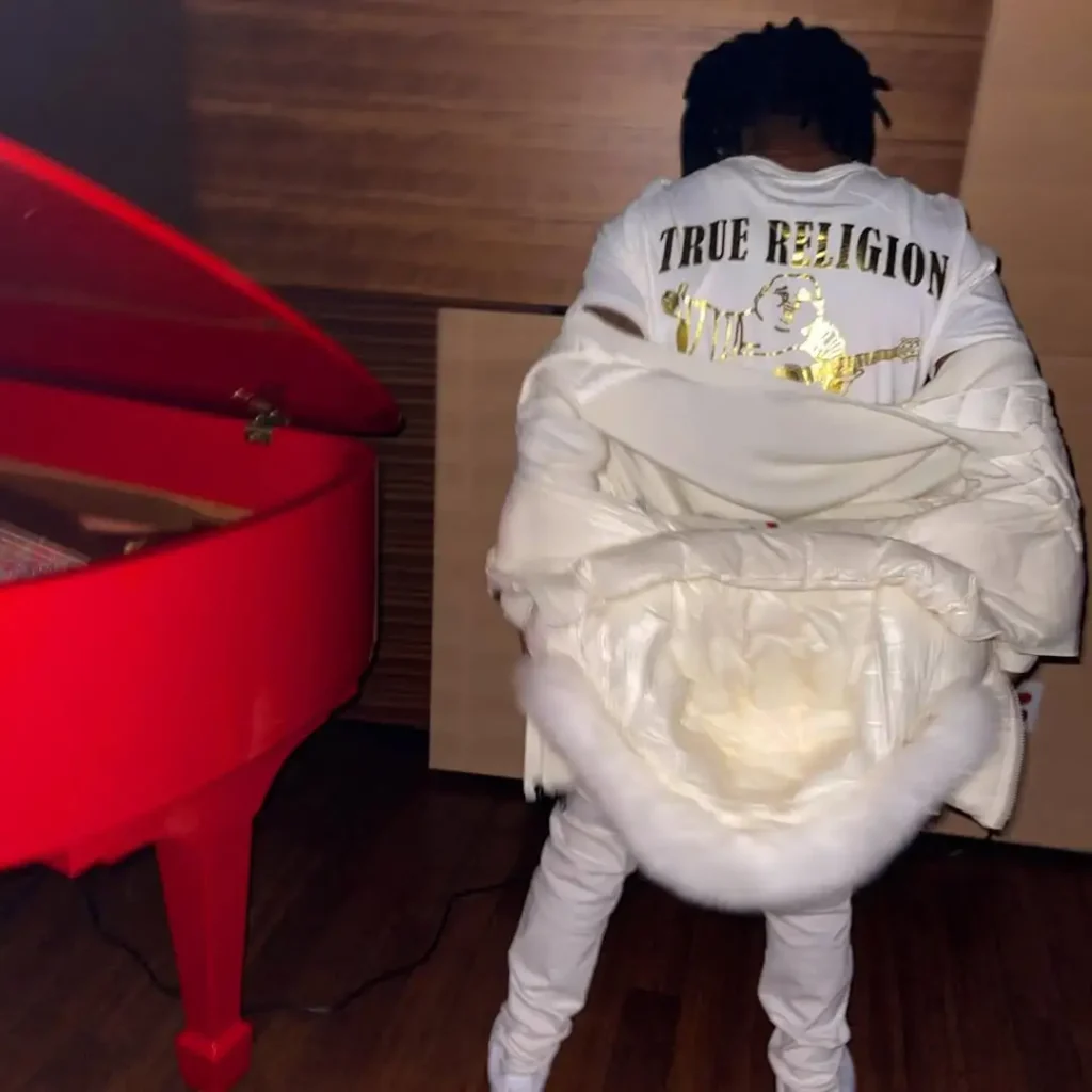 Lil Uzi Vert - Rapper & Onlyfans Star